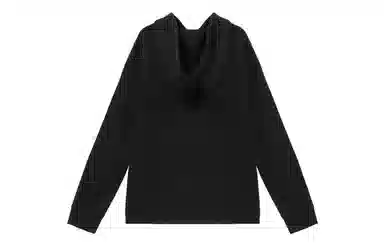 Dickies FW22 Logo