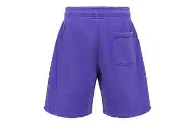 Jordan x Wordmark Purple Shorts