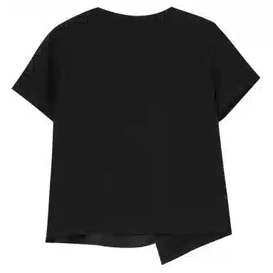 WESTLINK T