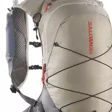 Salomon 15L Feather Grey