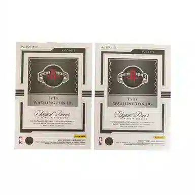 PANINI 2022-23 Noir patch 0249+2549