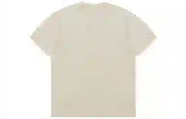 Champion Rochester logoT