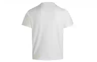 WHISTLEHUNTER cleanfitT