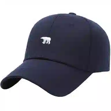 BSELEON
