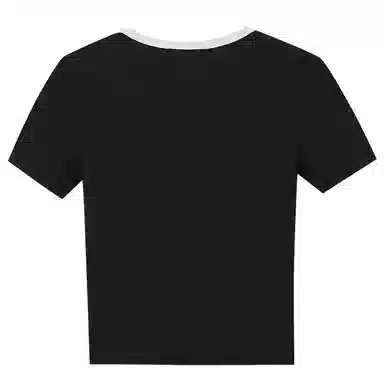 WESTLINK T