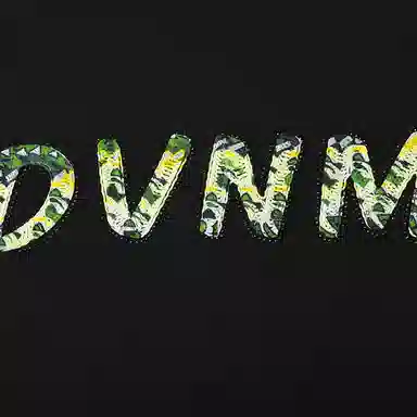 DAVID NAMAN SS24 LogoT