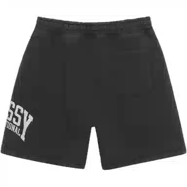 Stussy SS24 FLEECE SHORT INTERNATIONAL Logo