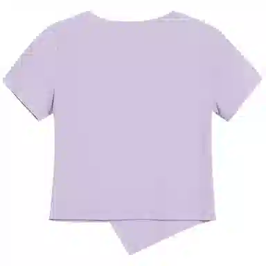 WESTLINK T