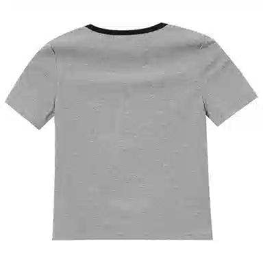 WESTLINK T