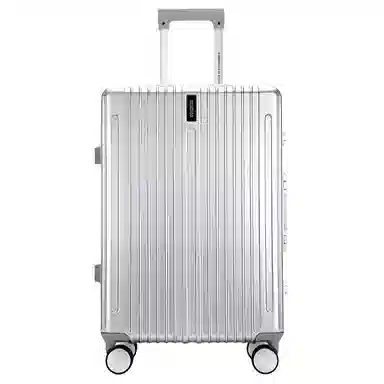 Samsonite Classic Silver/Black