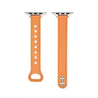 Penc iwatch Apple Watch s987654se2