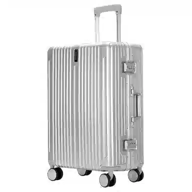 Samsonite Classic Silver/Black