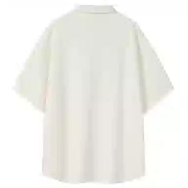 POINTLIMIT LogoPolo