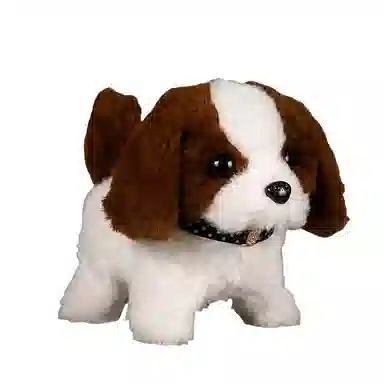 16cm