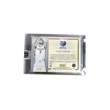 PANINI 2021-22 rja 310