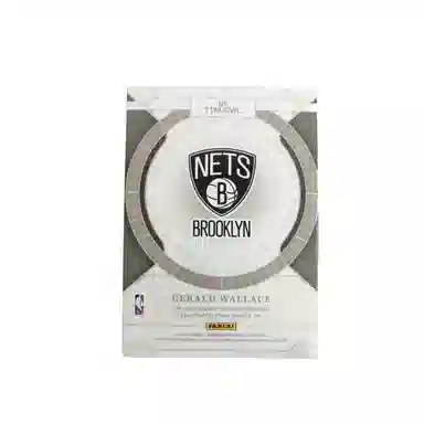 PANINI 2021-22 325 patch