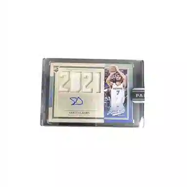 PANINI 2021-22 rja 310