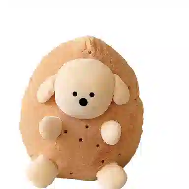 20cm50cm