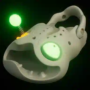 HelloSlippers Mr Skully