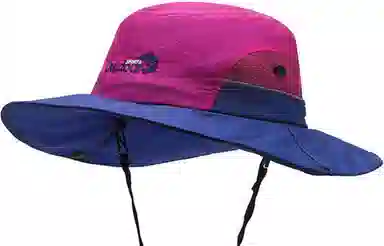 BSELEON