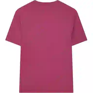 FILA T