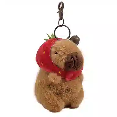 abay 10cm