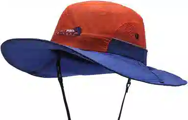 BSELEON