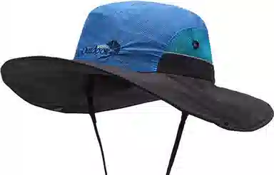 BSELEON