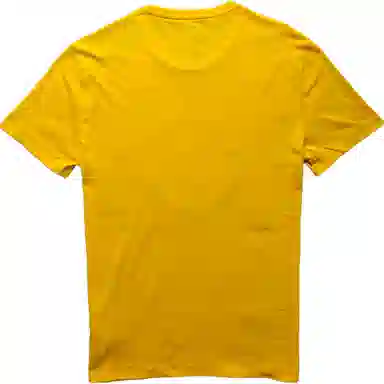 Polo Ralph Lauren T