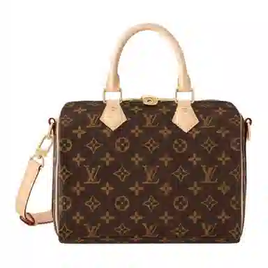 Louis Vuitton Speedy 25
