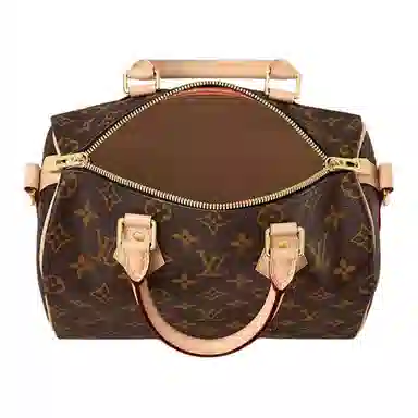 Louis Vuitton Speedy 25
