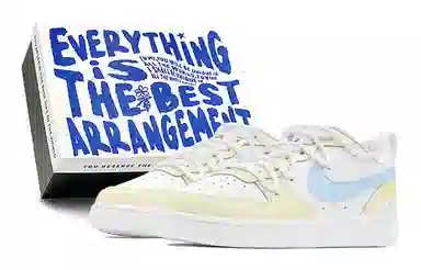 Nike Court Borough Low GS