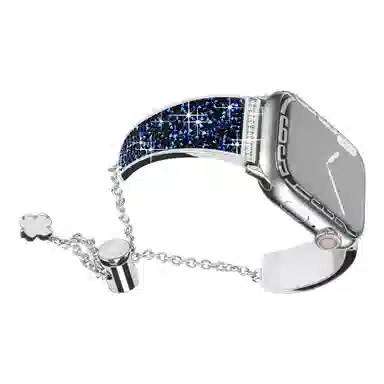 Applewatch SE7654321