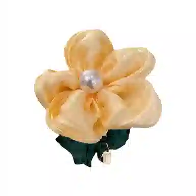 DAISY BEAUTY