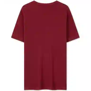 Tommy Hilfiger T