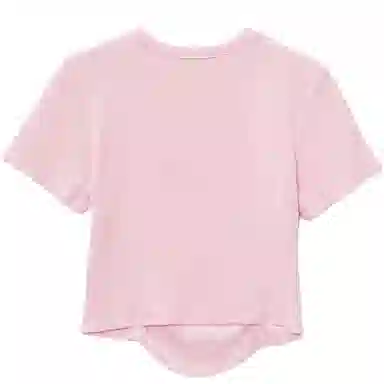 WESTLINK T