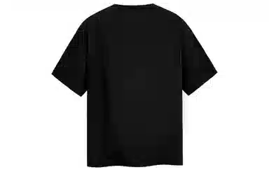 ICONS Lab T