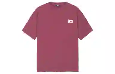 ICONS Lab T