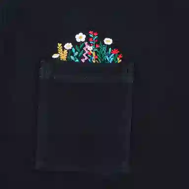 THE NORTH FACE logoT