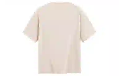 ICONS Lab T