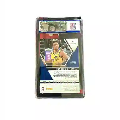 PANINI 2019-20 Mosaic