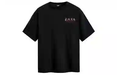 ICONS Lab T