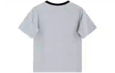 SNZX T
