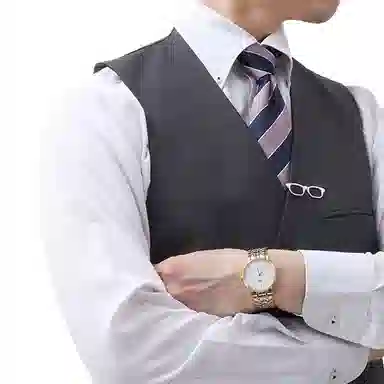 LONGINES 33mm L4.819.2.12.7