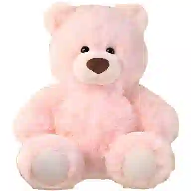 MINISO 26cm50cm