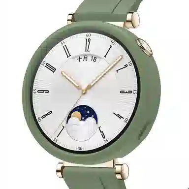 Antey gt4WATCH GT441mm
