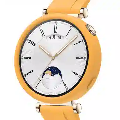 Antey gt4WATCH GT441mm