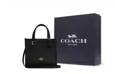 COACH DEMPSEY TOTE 22 Tote