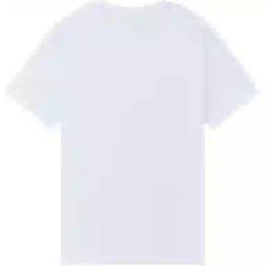 361 T