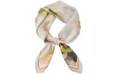 Cranta Komeia
